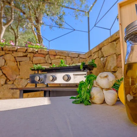 Villa Sardinia Family - Brunilde With Private Pool Arzachena